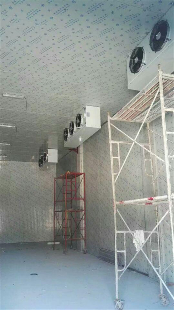 钟祥文集镇水果库